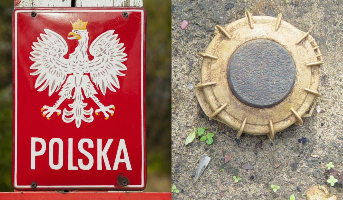 Колаж УНІАН, фото - ua.depositphotos.com, wikipedia.org Колаж УНІАН, фото - ua.depositphotos.com, wikipedia.org