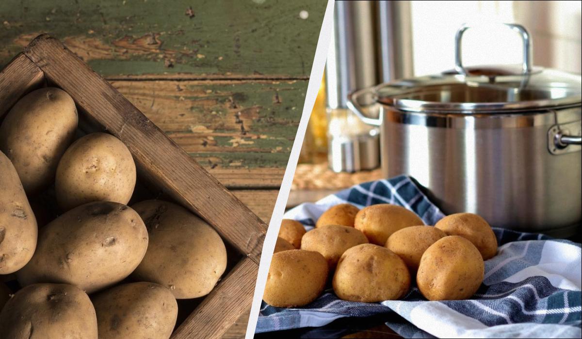 як зберігати картоплю