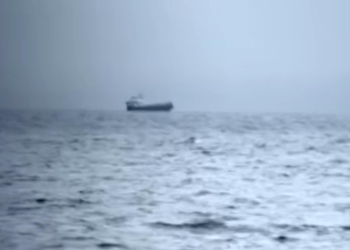 КФото: скріншот з відео КФото: скріншот з відео