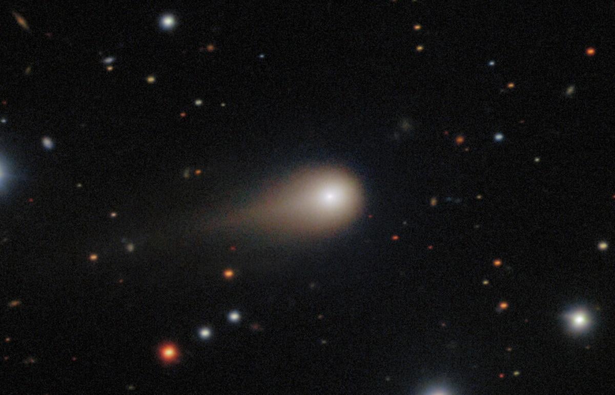 // фото wikimedia.org