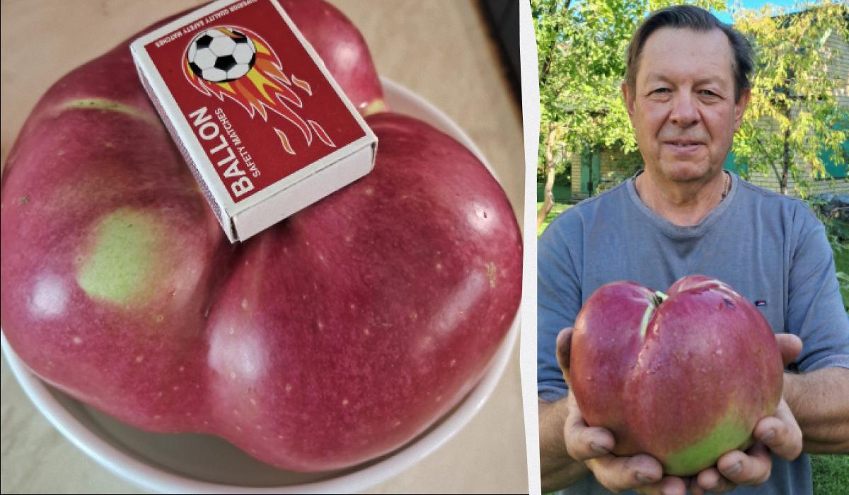 колаж УНІАН, фото - сторінка у Facebook Лани Вєтрової