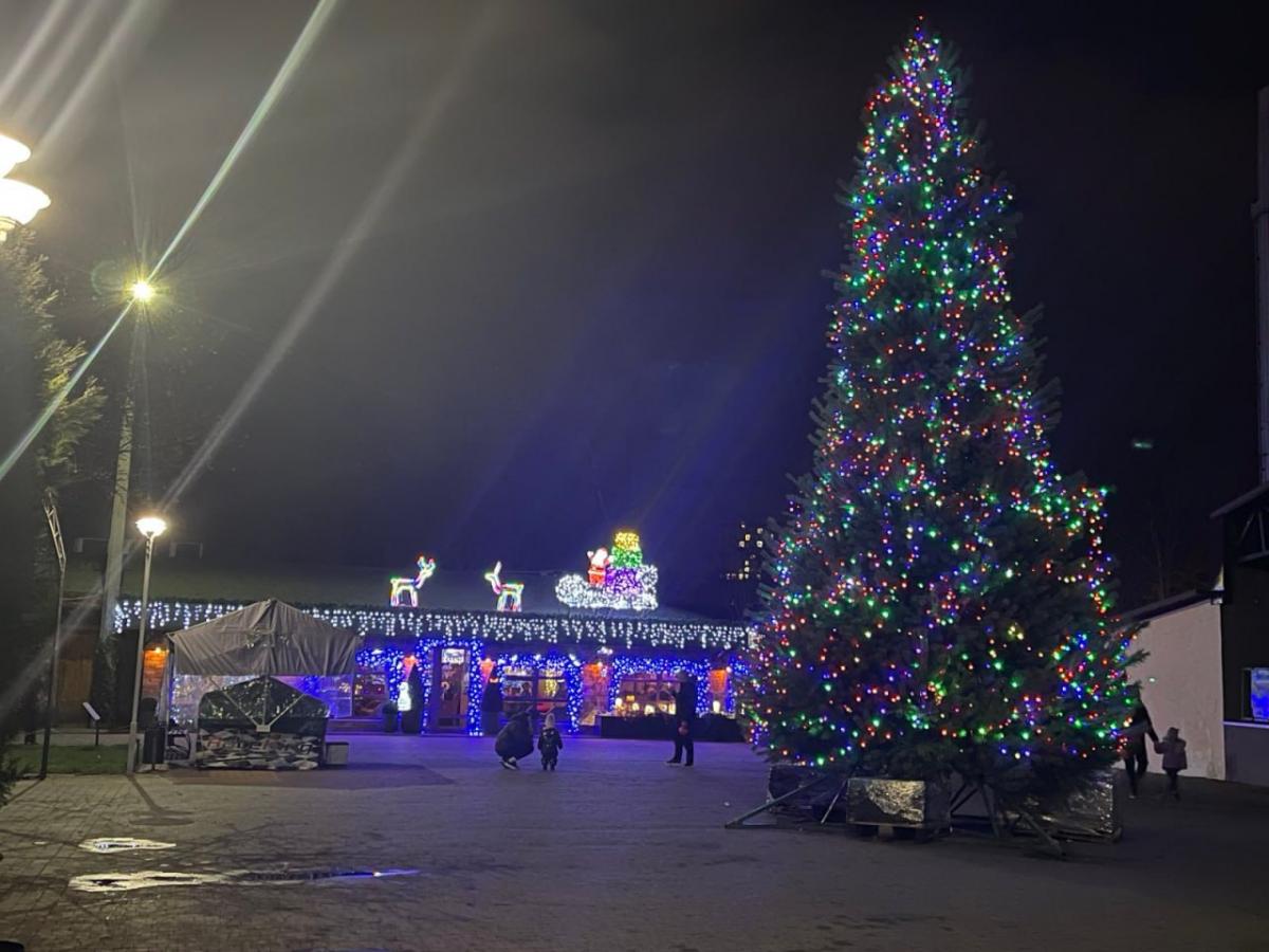 фото Лариси Козової