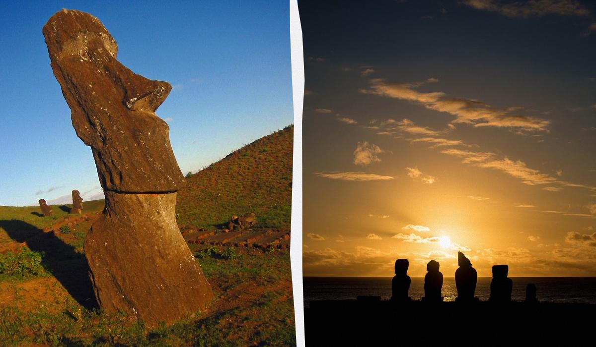 колаж УНІАН з фото pixabay.com