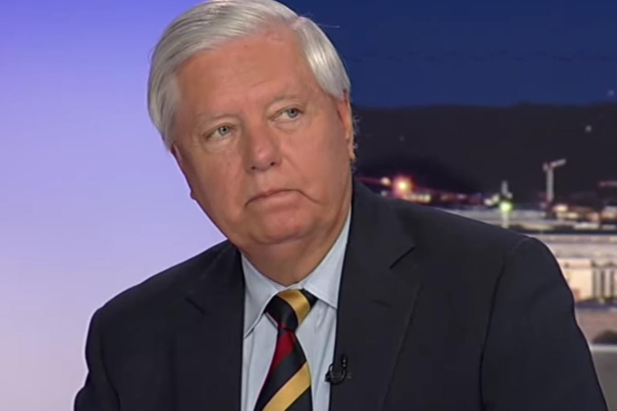 Фото: скриншот из видео