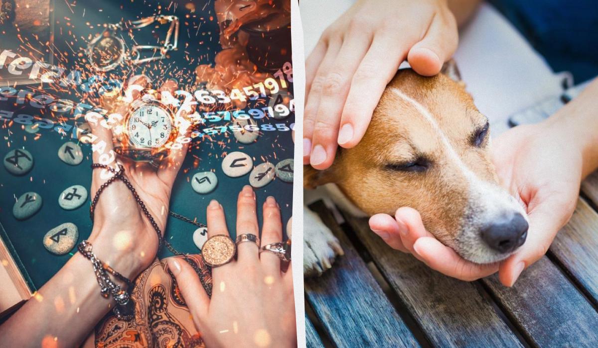 Gentilezza: la forza consapevole che dimostra potere interiore