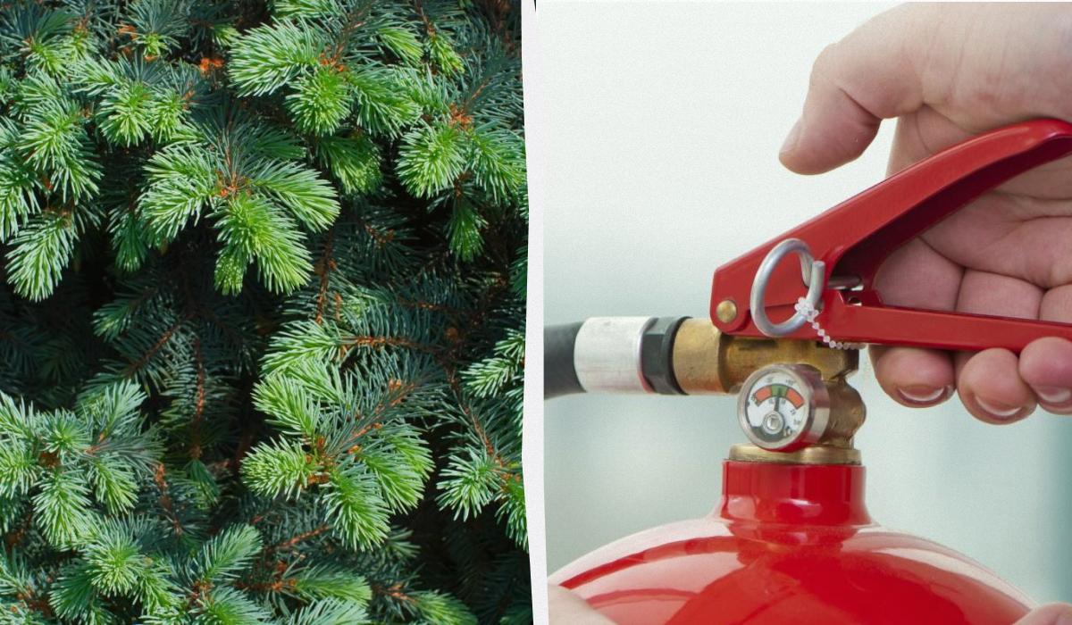 Свята без пожежі: як встановити ялинку, щоб не спалити дім