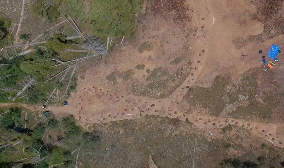 Динозавр, який їх залишив, імовірно, був чотириногим