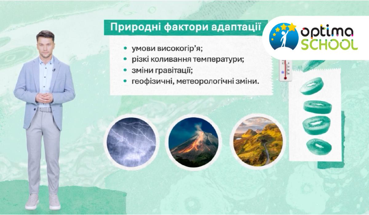 Як 'Оптіма' допомагає дітям здобувати якісну освіту дистанційно