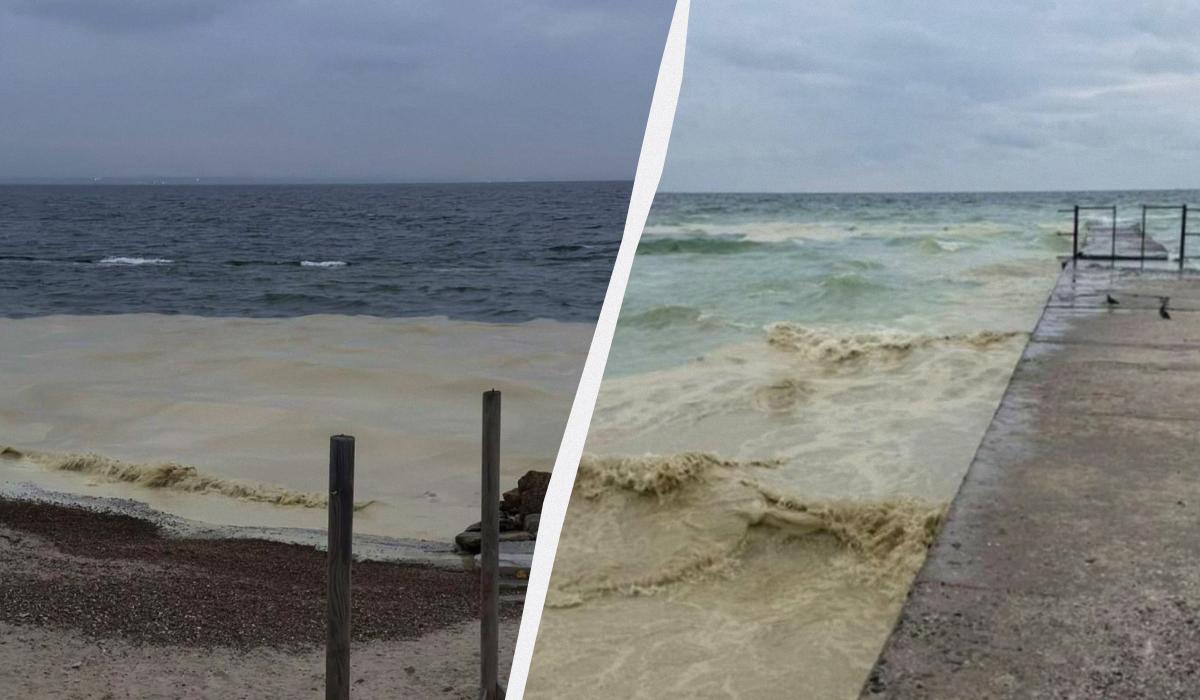 На пляжах Одеси виявили рослинну олію / колаж УНІАН, фото Одеської облпрокуратури