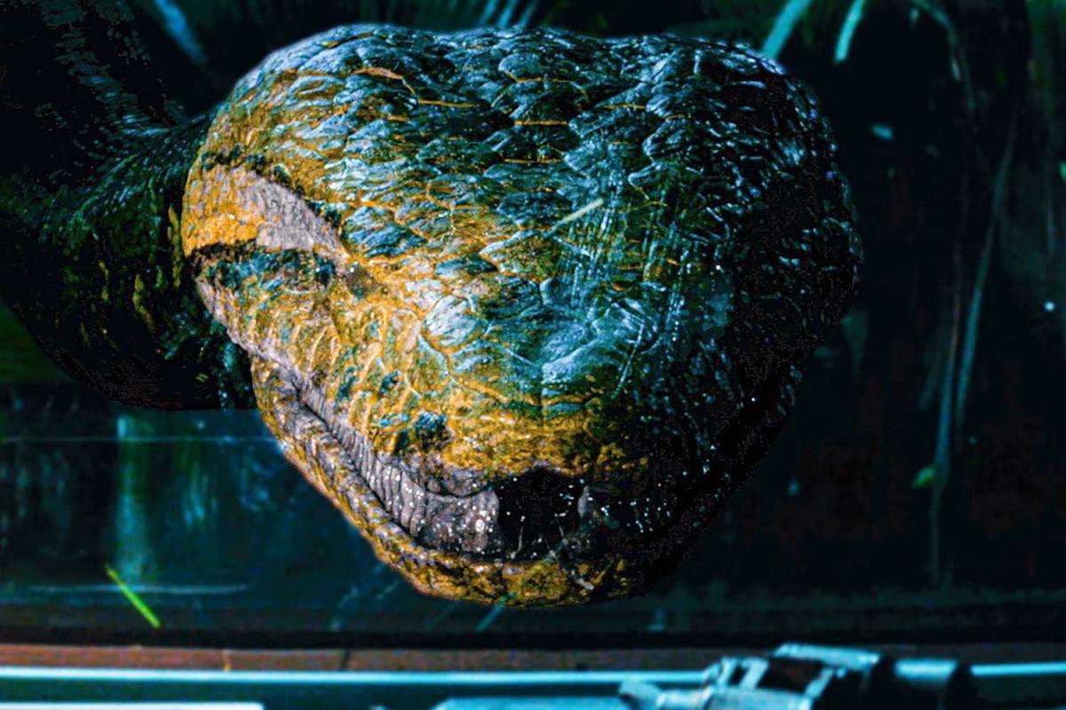 Кадр з фільму "Анаконда" / фото Sony Pictures