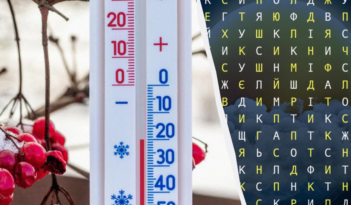 Чи зможете ви знайти слово 'синоптик' за 11 секунд: дивовижна оптична ілюзія Чи зможете ви знайти слово 'синоптик' за 11 секунд: дивовижна оптична ілюзія