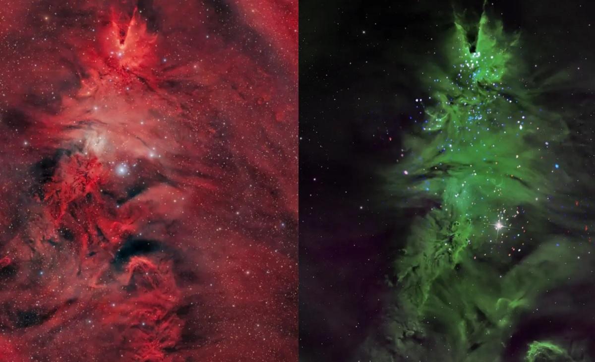 Космічна ялинка: астрономи зафіксували незвичайне зоряне скупчення