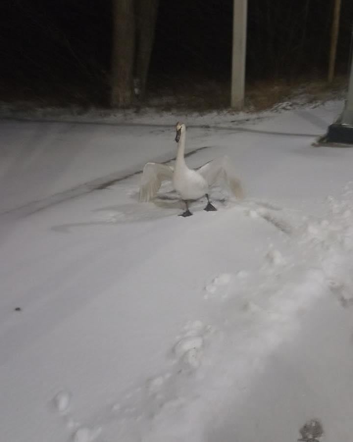 фото працівників КПП «Дитятки»