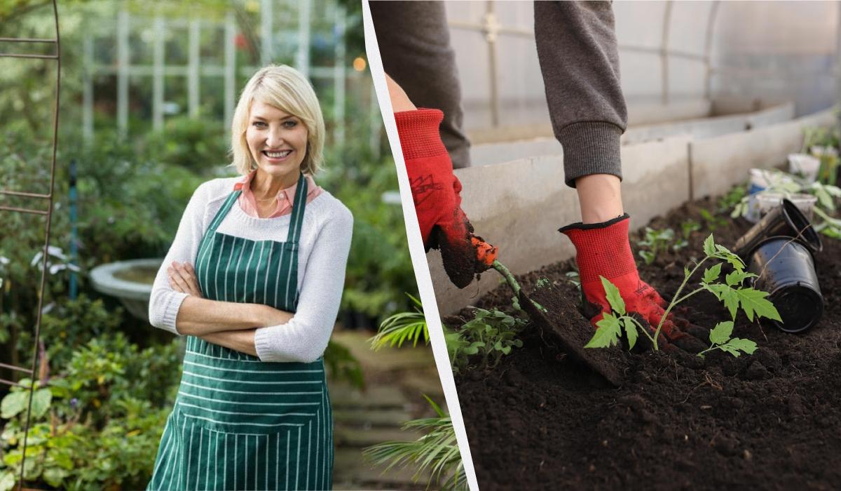 посівний календар