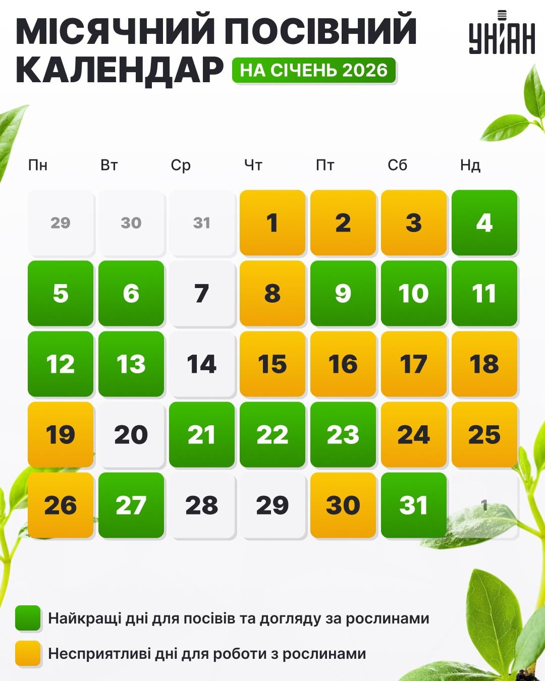 посівний календар