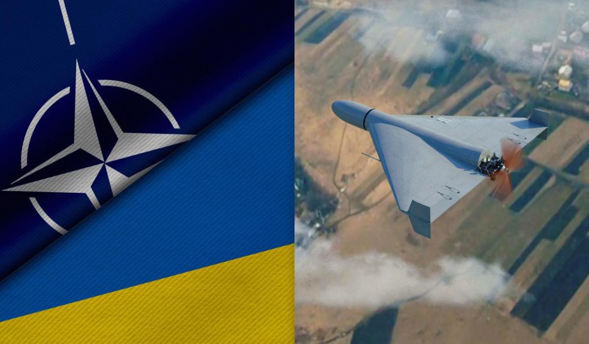 НАТО просить в України допомоги в пошуку дешевих засобів знищення дронів, - BI
