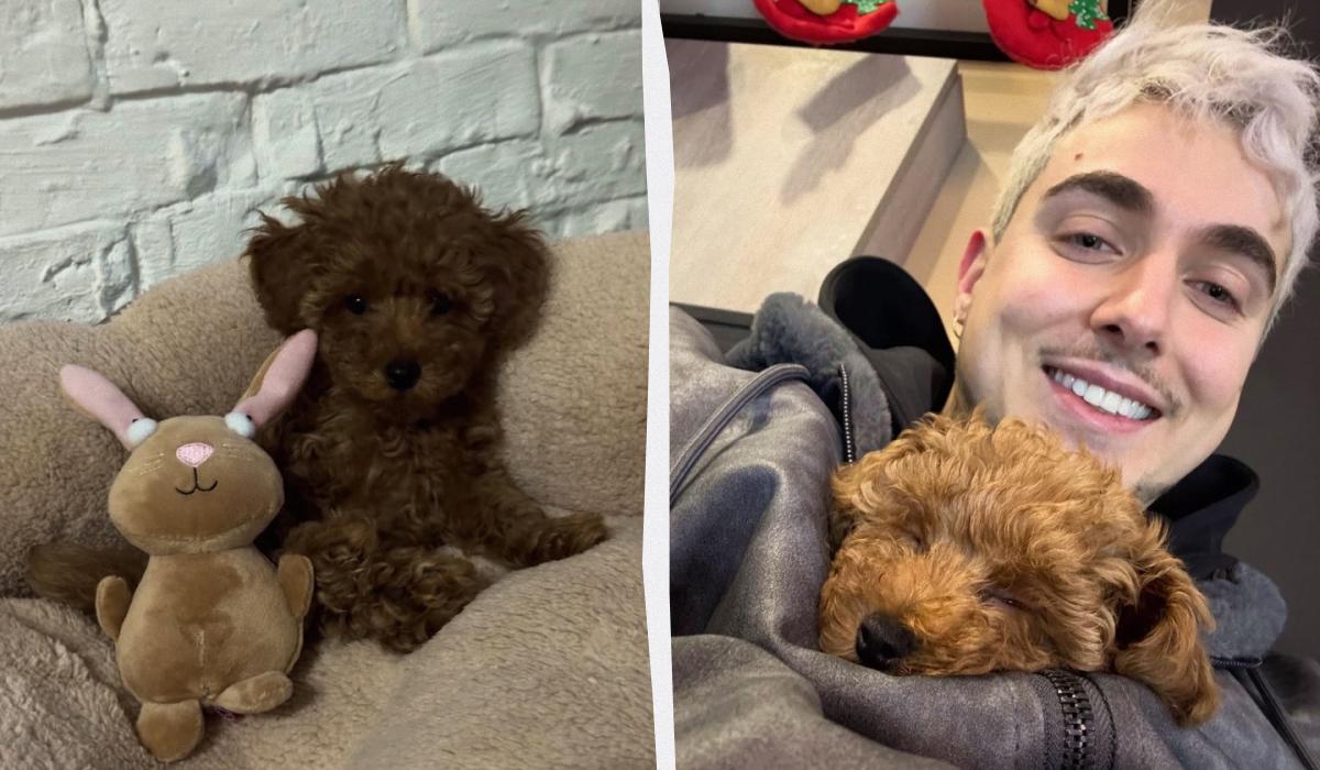 Колаж УНІАН / фото instagram/melovin_official