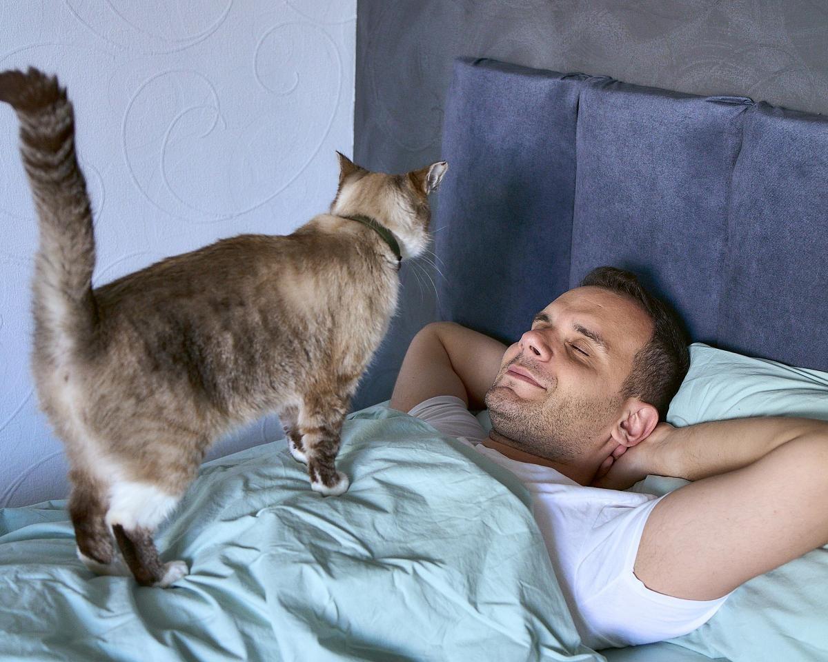 Почему кошки везде ходят за своими хозяевами: эксперты назвали неожиданные причины