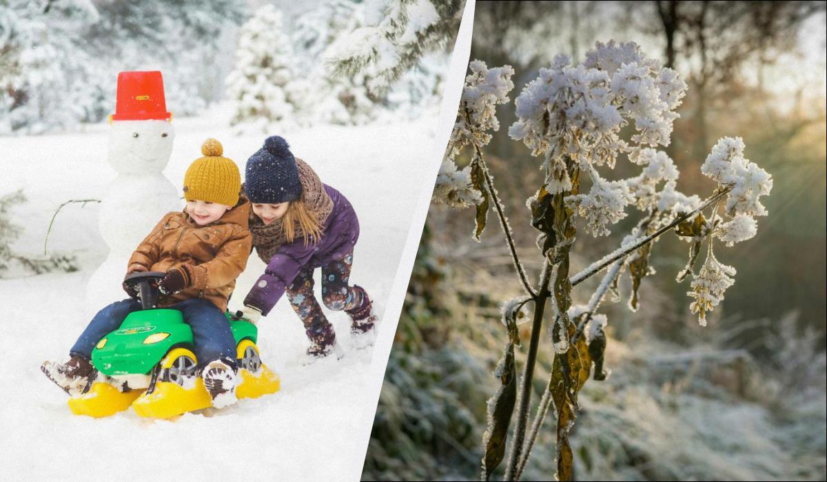 погода в січні