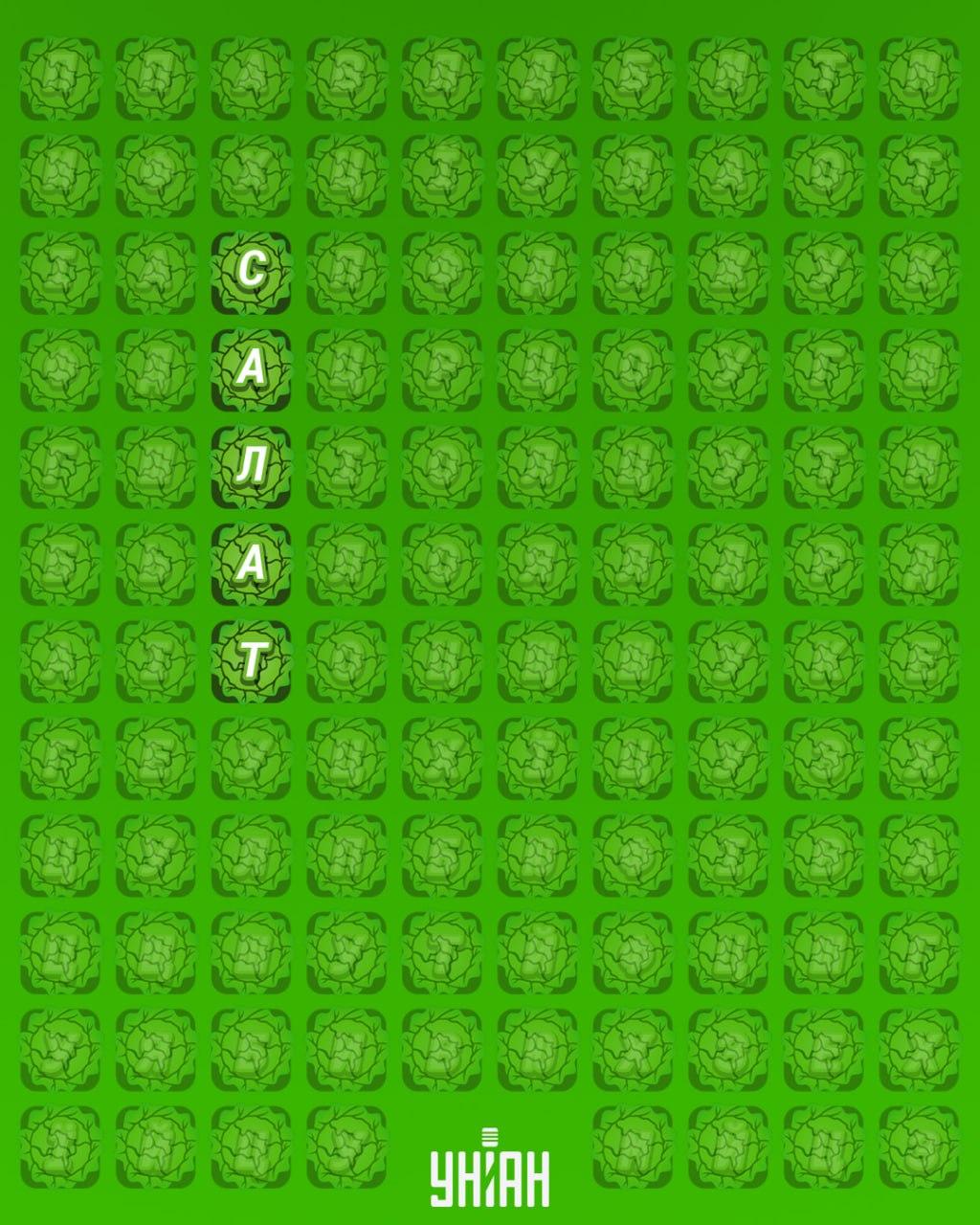 98% людей не могут найти слово 'салат' за 12 секунд: очень сложная головоломка