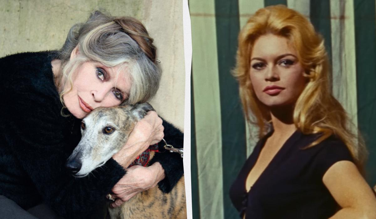 Колаж УНІАН / фото instagram/fondationbrigittebardot, Скриншот