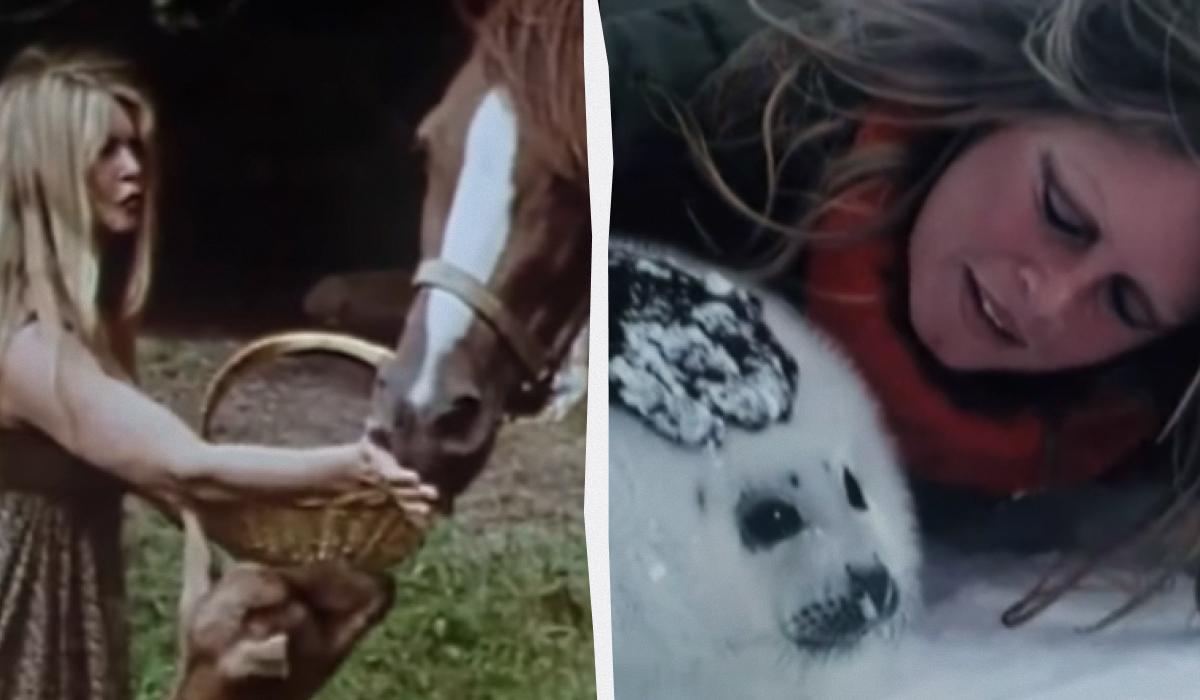 Колаж УНІАН / Скриншоти