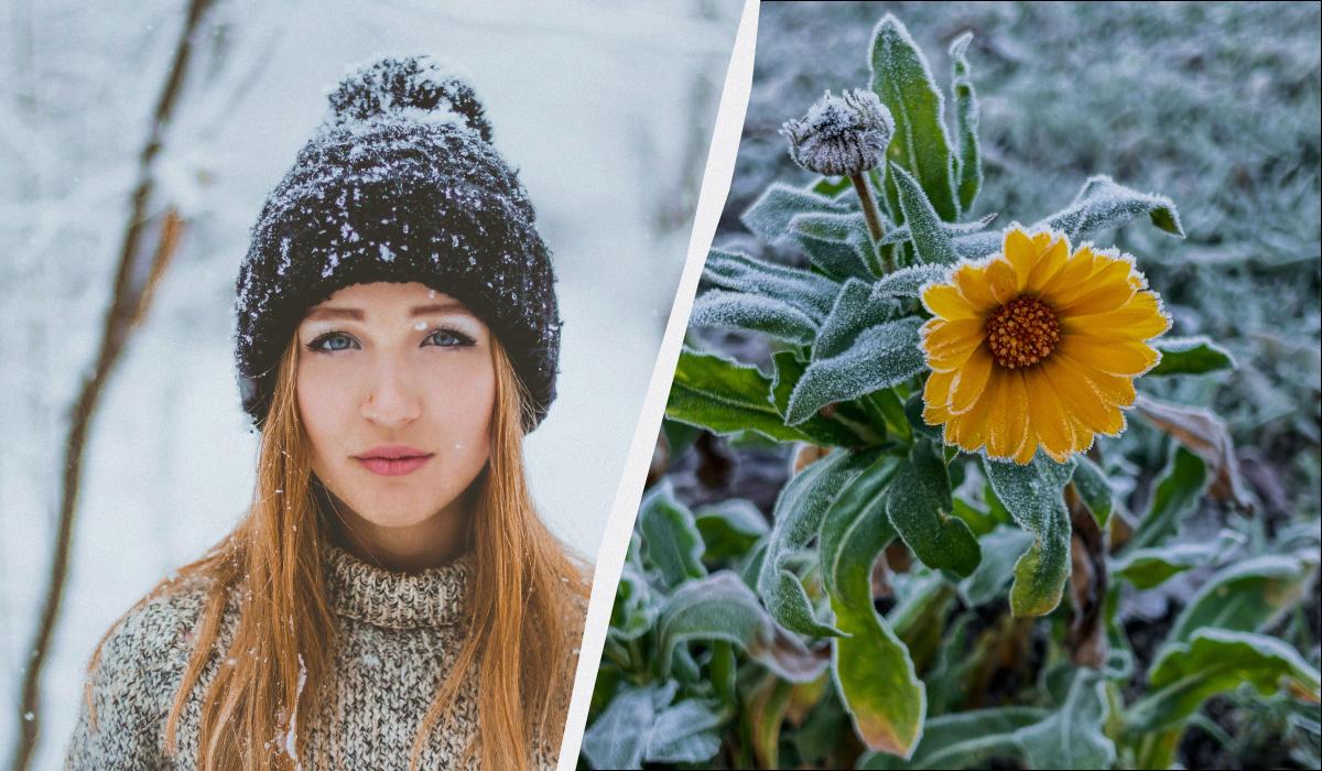 какой сегодня праздник какой сегодня праздник