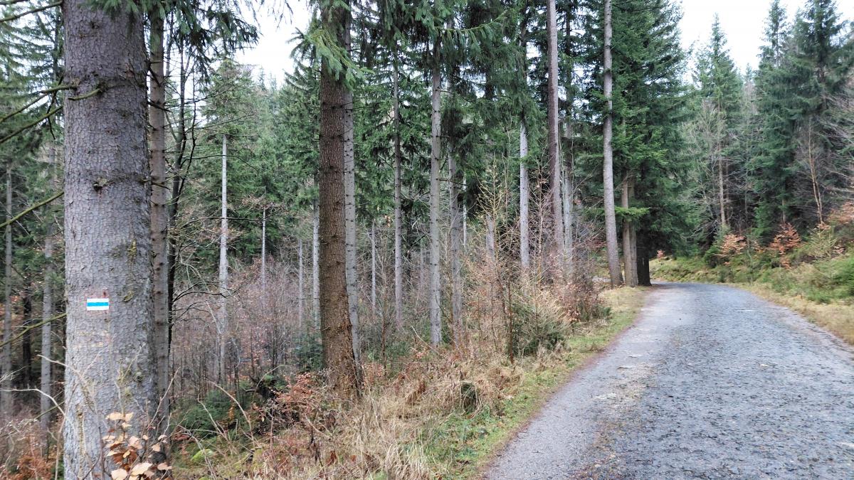 Гірська Польща: містичні Карконоші, ласкаві терми та унікальні церкви Гірська Польща: містичні Карконоші, ласкаві терми та унікальні церкви