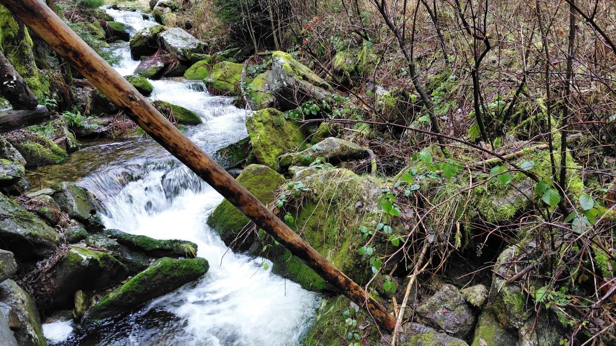 Гірська Польща: містичні Карконоші, ласкаві терми та унікальні церкви Гірська Польща: містичні Карконоші, ласкаві терми та унікальні церкви