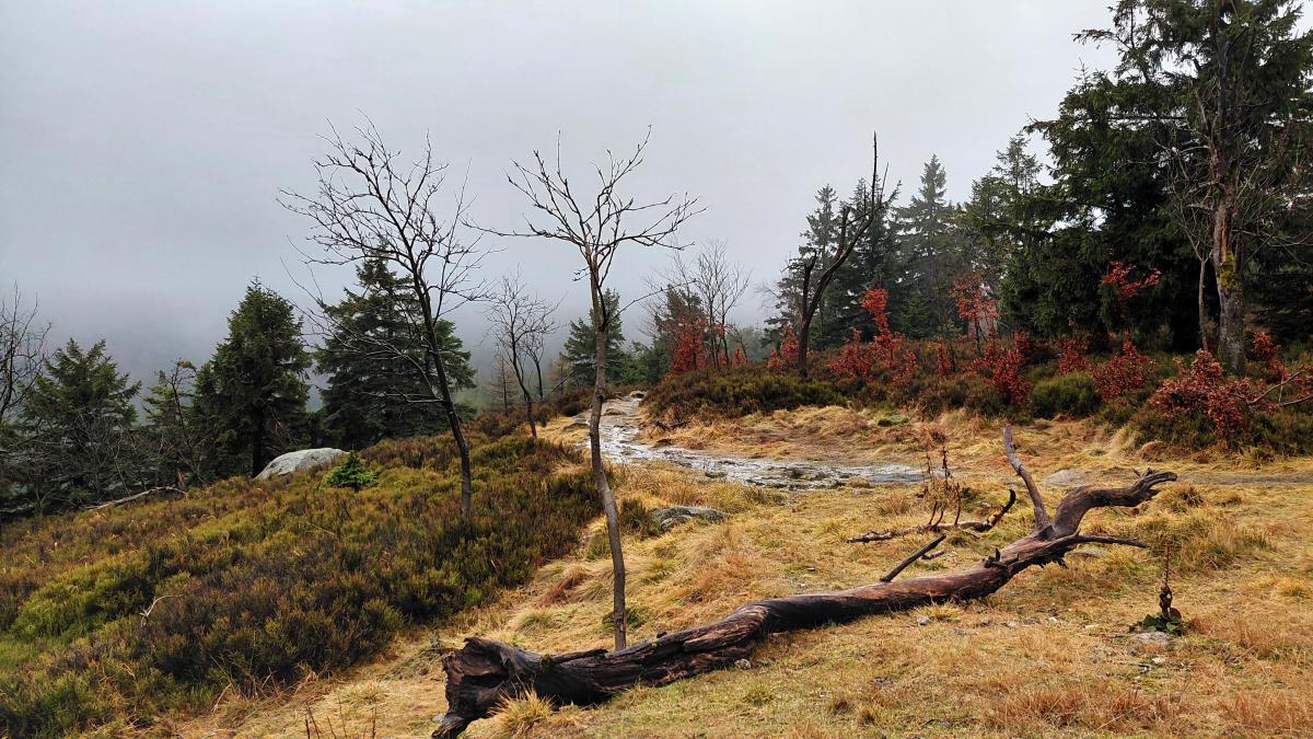 Гірська Польща: містичні Карконоші, ласкаві терми та унікальні церкви Гірська Польща: містичні Карконоші, ласкаві терми та унікальні церкви