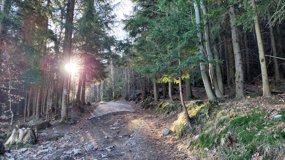 Гірська Польща: містичні Карконоші, ласкаві терми та унікальні церкви Гірська Польща: містичні Карконоші, ласкаві терми та унікальні церкви