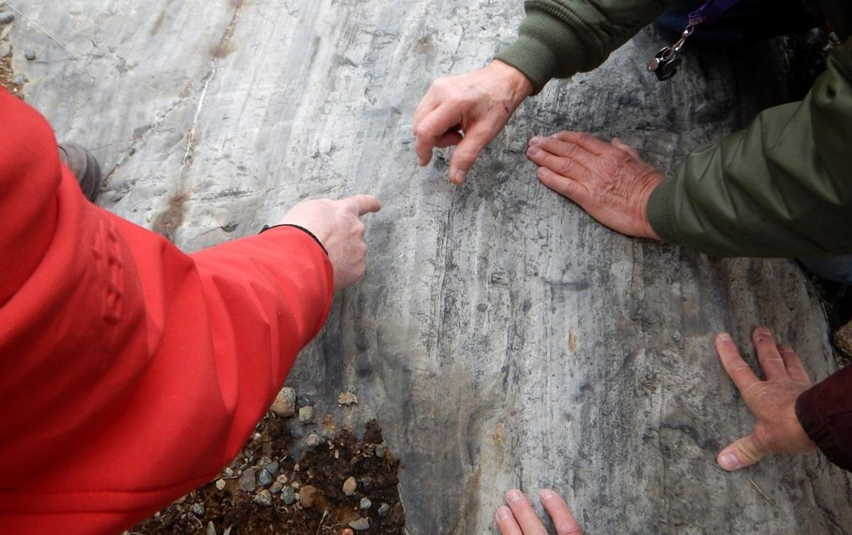 Геологи знайшли в скелі загадкові тунелі, які вказують на існування невідомої істоти Геологи знайшли в скелі загадкові тунелі, які вказують на існування невідомої істоти