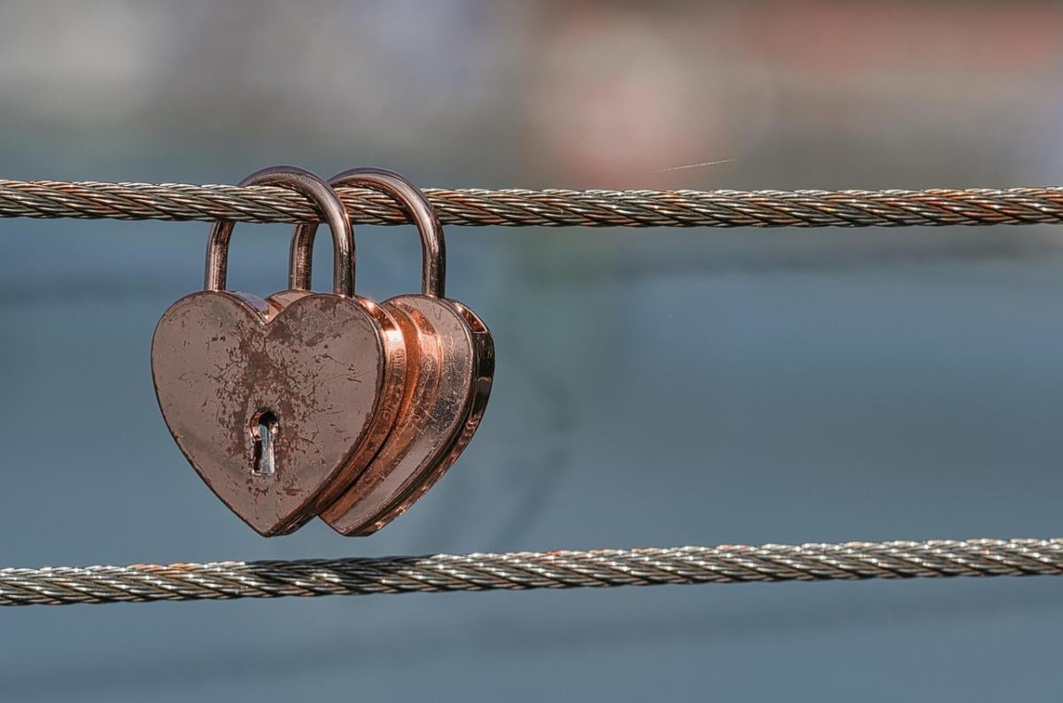 Вчені перелічили 6 видів тварин, які все життя живуть з одним партнером