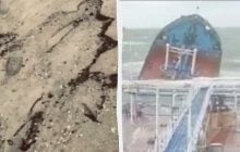 Эхо аварии танкеров "Волгонефть": на побережье Одесской области снова выявили мазут (видео)