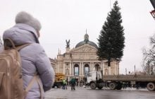 Во Львове начали устанавливать новогоднюю елку: какой она будет в этом году (фото)