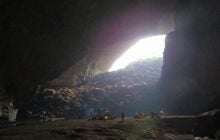 Портал в інший світ: у цій печері ховається своя екосистема з унікальними тваринами