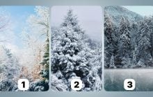 Куда ведет вас судьба: какой пейзаж вы выберете - тест на личность