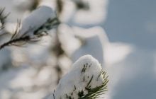 30 грудня сильних морозів в Україні не буде, але є неприємний нюанс