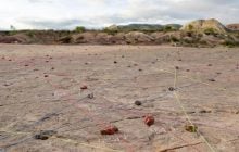 Новый рекорд: ученые обнаружили 18 000 следов динозавров вдоль древнего побережья