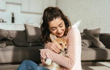 Какие собаки идеально подойдут для людей, которые живут одни: эксперты назвали топ-10 пород