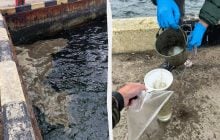 Атаки РФ на порты спровоцировали экологическую катастрофу в Одесской области