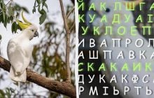 97% людей не можуть знайти слово "какаду" за 11 секунд в оптичній ілюзії: перевірте себе