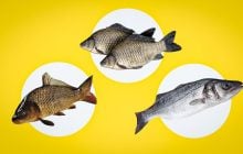 Як зрозуміти, що риба свіжа: лікар розповів, на що звертати увагу