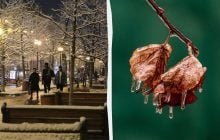 От весенних +11° до морозов: синоптик Диденко рассказала о погодных качелях после 11 декабря