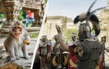 Римские офицеры держали обезьян, как компаньонов и даже дарили им домашних животных, - ученые