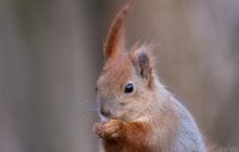 Неделя в Киеве начнется с потепления