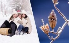 17 грудня - велике свято в Україні: що відзначити і кого привітати сьогодні