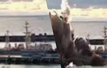 В Новороссийске поражена субмарина РФ: эксперты объяснили, сколько их еще есть в Черном море