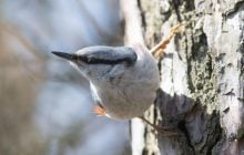 Антициклон в Киеве: синоптики рассказали, что будет с погодой (инфографика)