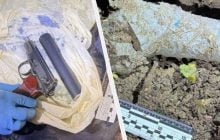 Знайдено пістолет, з якого вбили Парубія, – СБУ